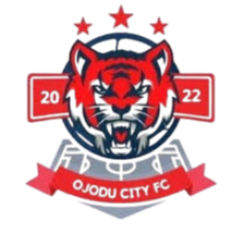 休斯敦火箭