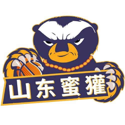 达拉斯独行侠